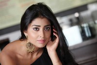 Shriya Spicy Photos in Pavithra